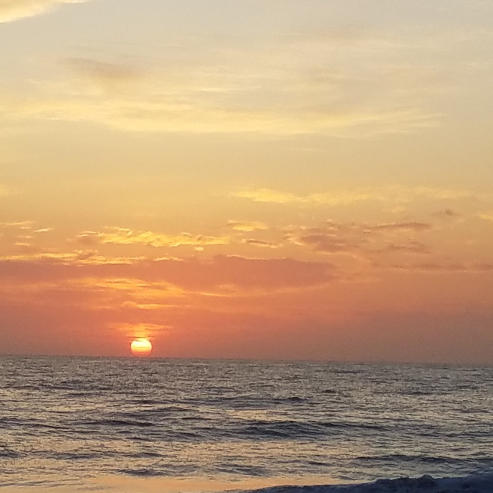 Meet your Posher, Yasmin